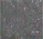 chrome.gif (5473 bytes)