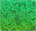 greentile.gif (9607 bytes)